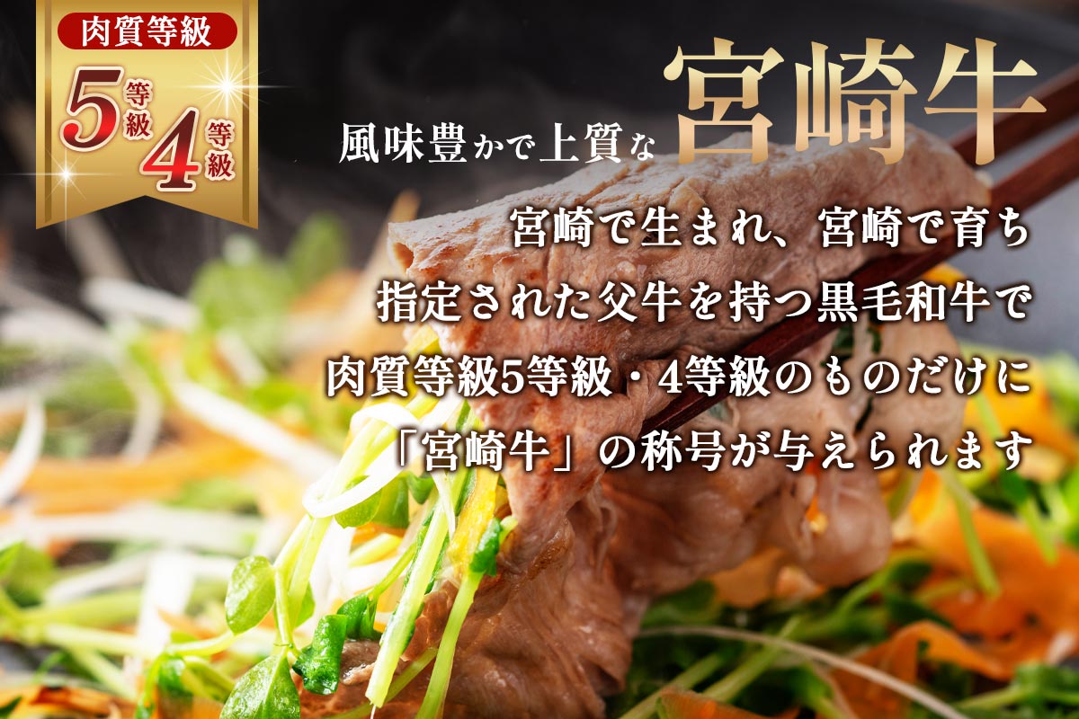 宮崎牛 肩(ウデ)焼きしゃぶ 500g