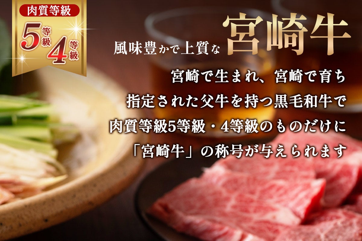 「冷凍の匠」宮崎牛 5種盛り食べ比べ焼肉 300g