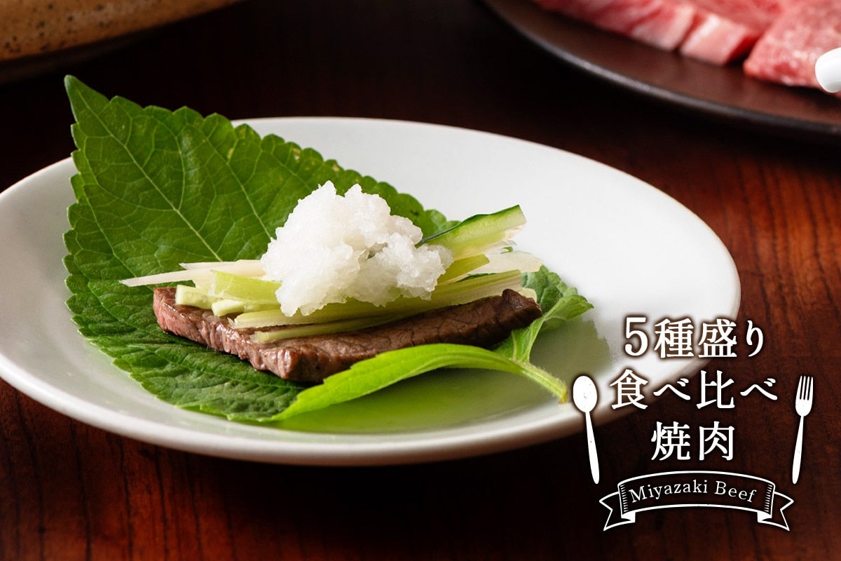 「冷凍の匠」宮崎牛 5種盛り食べ比べ焼肉 300g