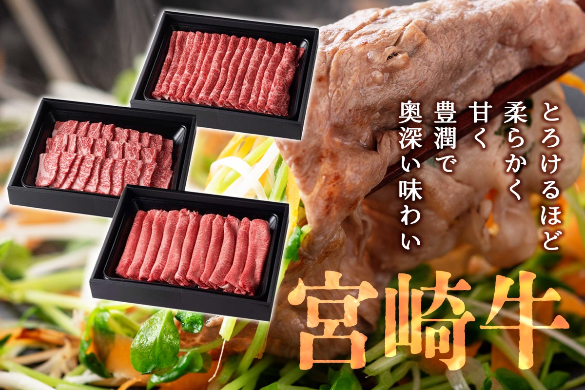 宮崎牛 焼肉・焼きしゃぶ 1.5kgセット