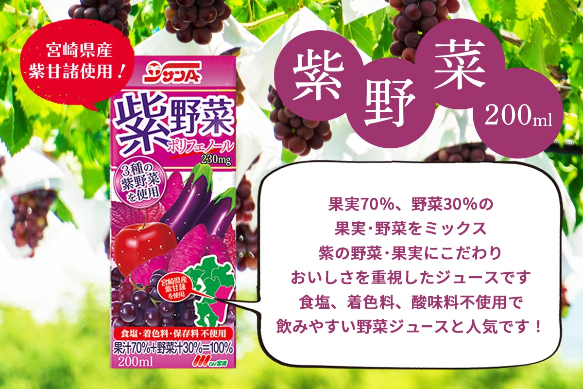 TA  200ml×24{