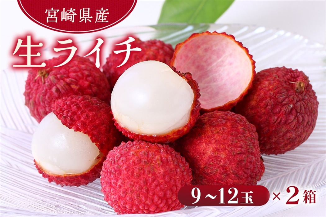 宮崎県産 生ライチ（9～12玉）×2箱: JAみやざき Tege Mahalo|【JA