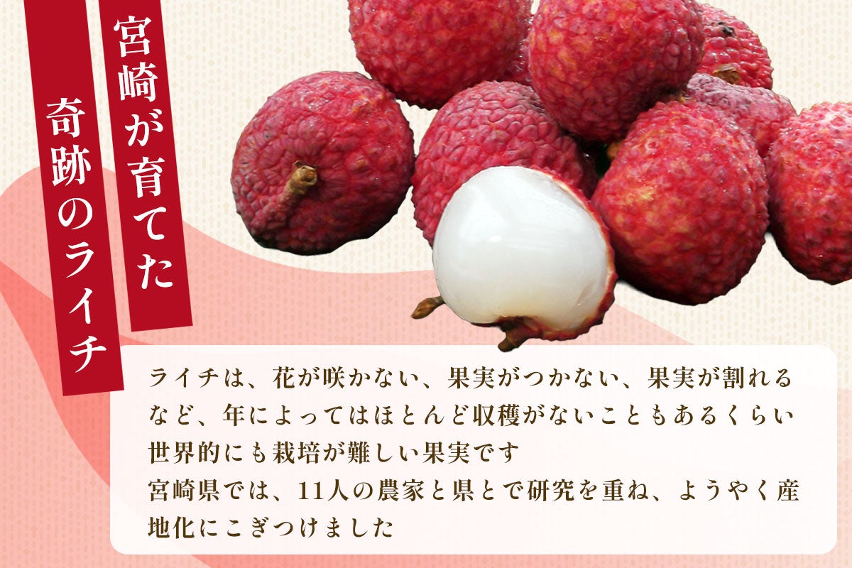 宮崎県産 生ライチ (9〜15玉)