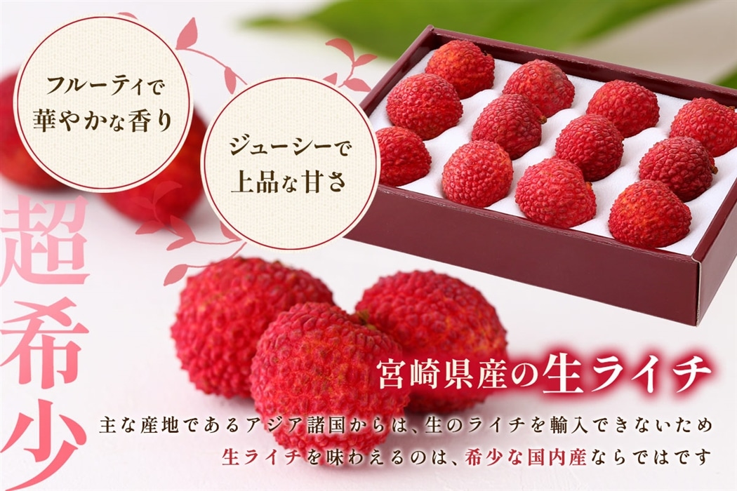 宮崎県産 生ライチ（9～12玉）×2箱: JAみやざき Tege Mahalo|【JA