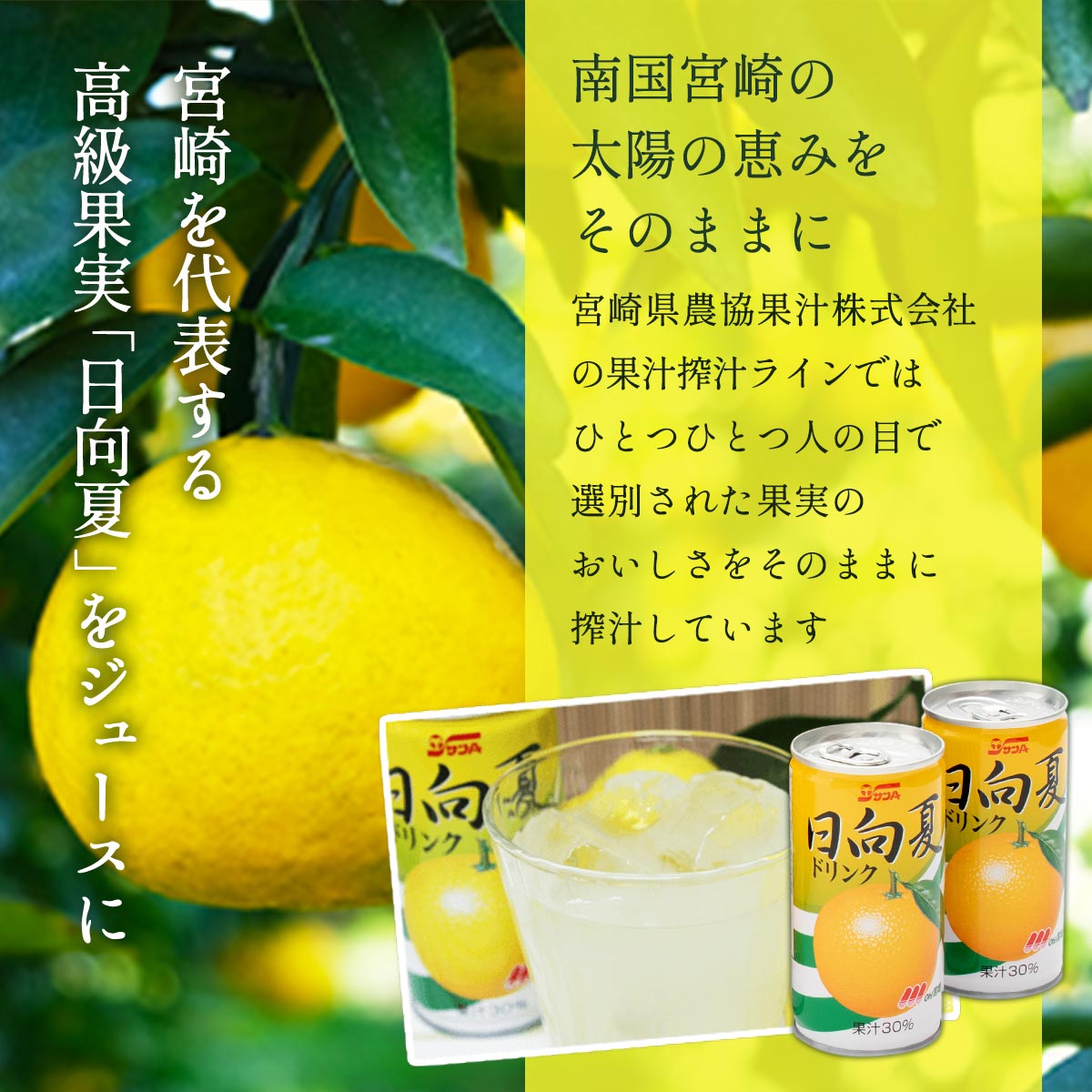 健康とおいしさにこだわり サンA