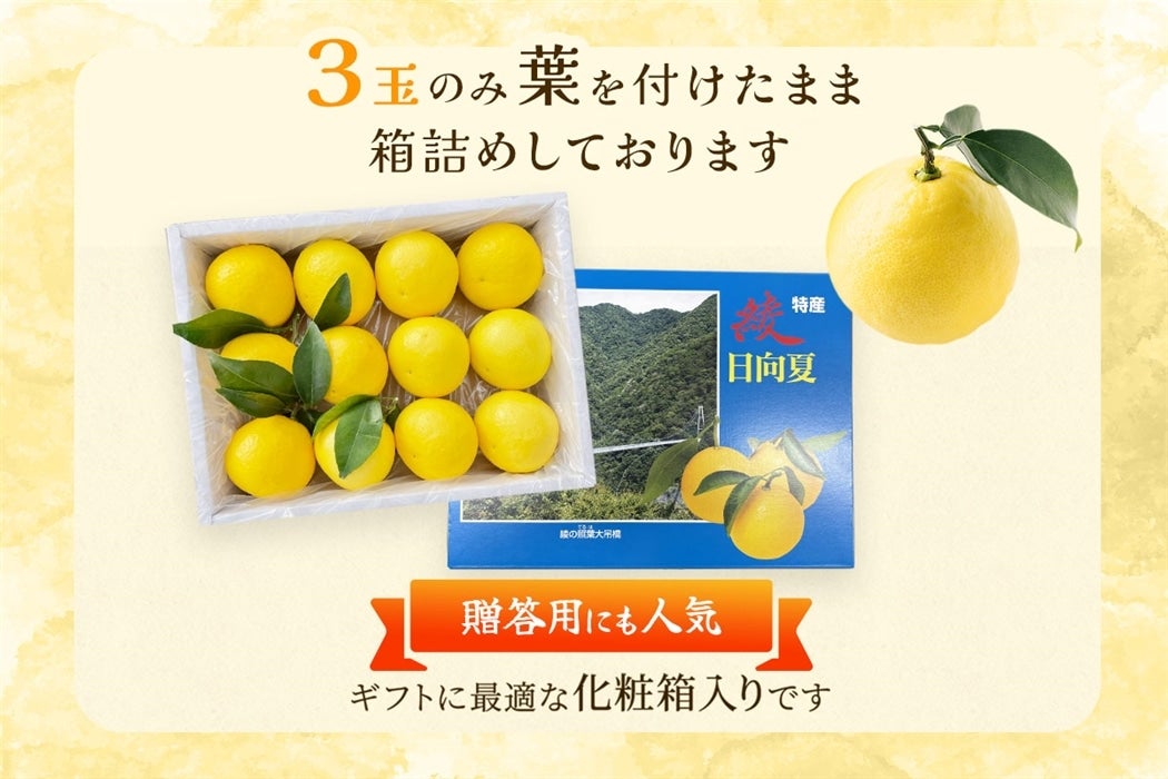 ��Ȃ������� 2.5kg ���ϔ�����