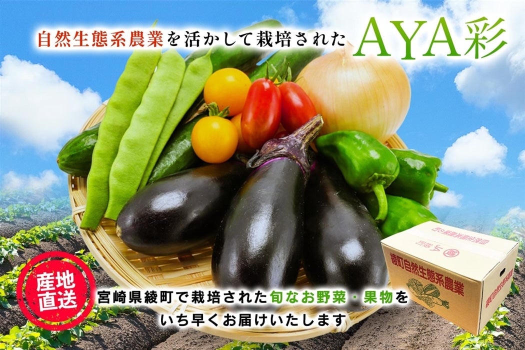 AYA�� 10�i ��؁E�ʕ��l�ߍ��킹����� �S�R��