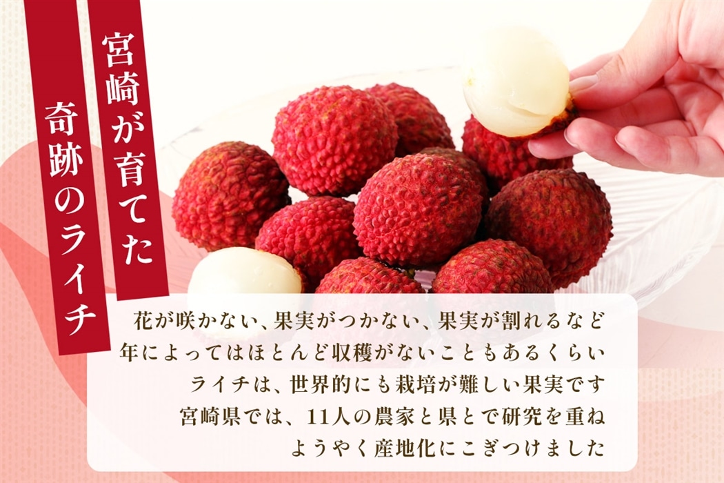 宮崎県綾町産 生ライチ食べ比べセット: JAみやざき Tege Mahalo|【JA