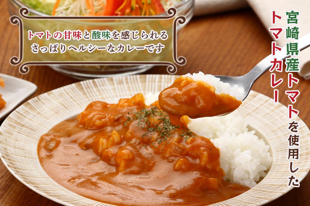 みやざきトマトカレー 6個セット