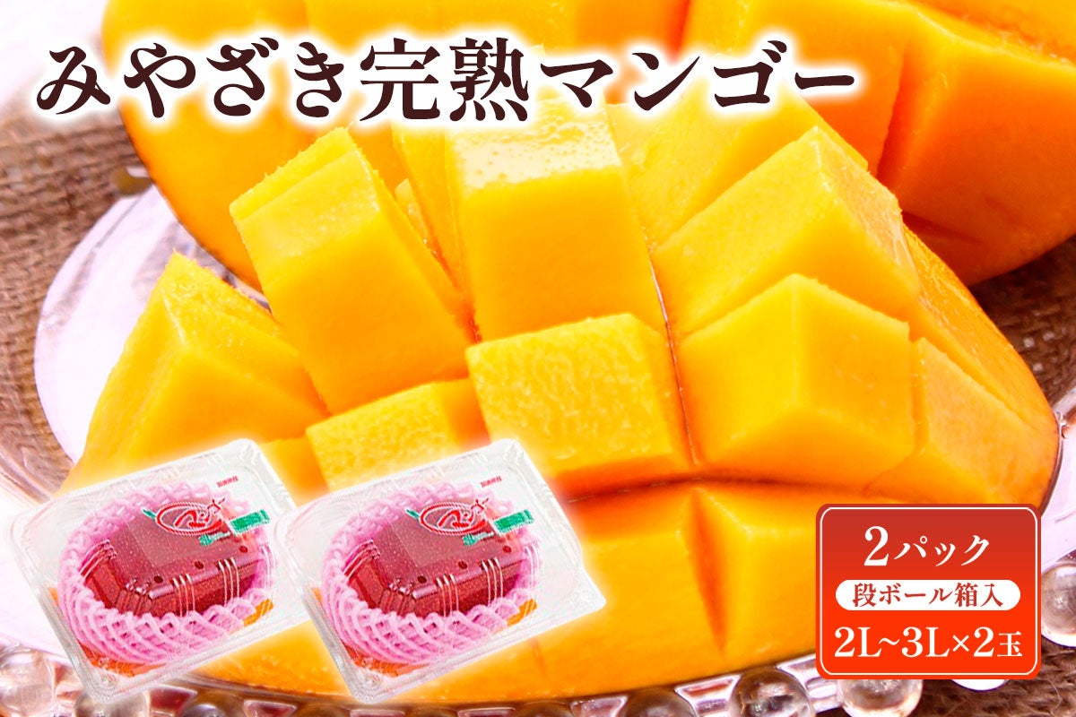 みやざき完熟マンゴー 2L〜3L 1玉×2パック 段ボール箱入り