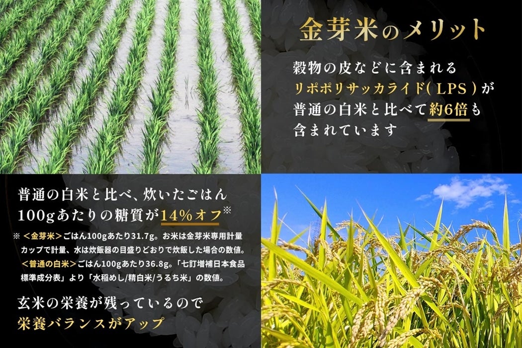 ����� �{�茧�Y �����ĂЂ̂Ђ��� 5kg×2��