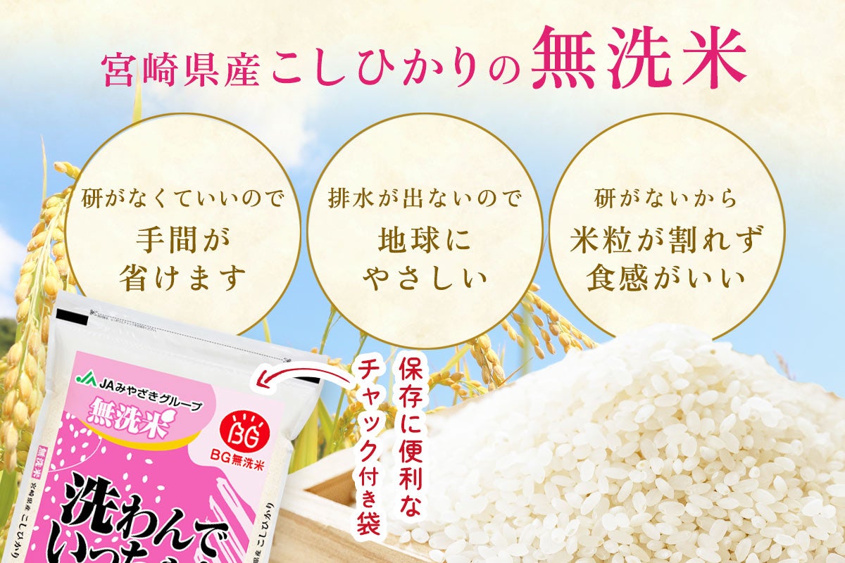【令和7年産】宮崎県産 無洗米 こしひかり 5kg×2