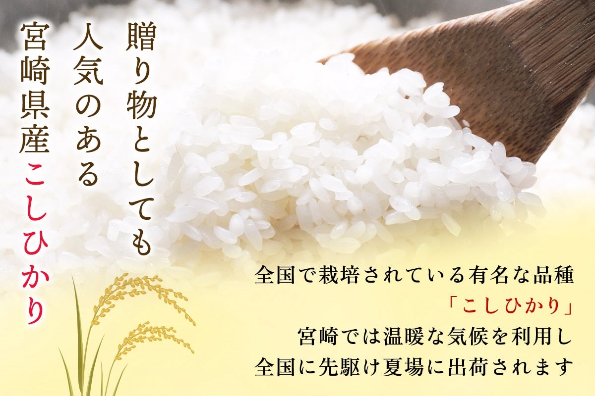 【令和7年産】宮崎県産 無洗米 こしひかり 5kg