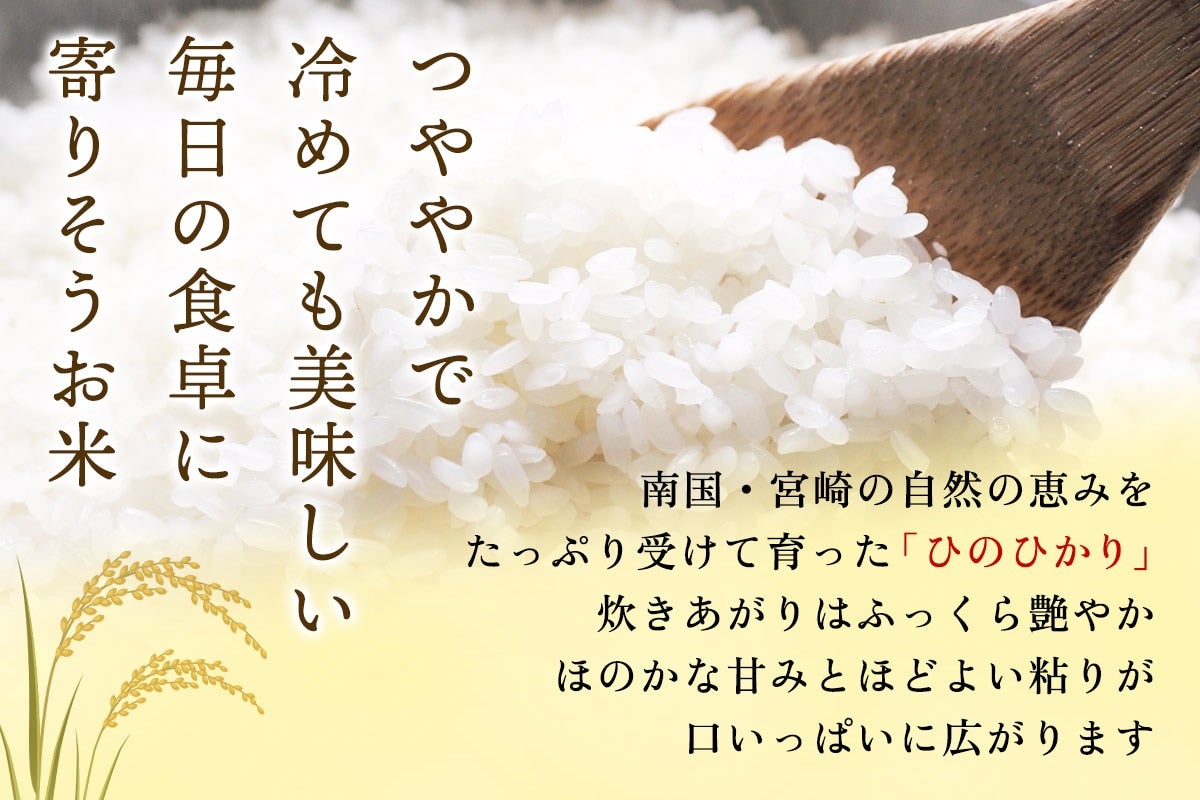 【令和6年産】宮崎県産 無洗米 ひのひかり 5kg×2