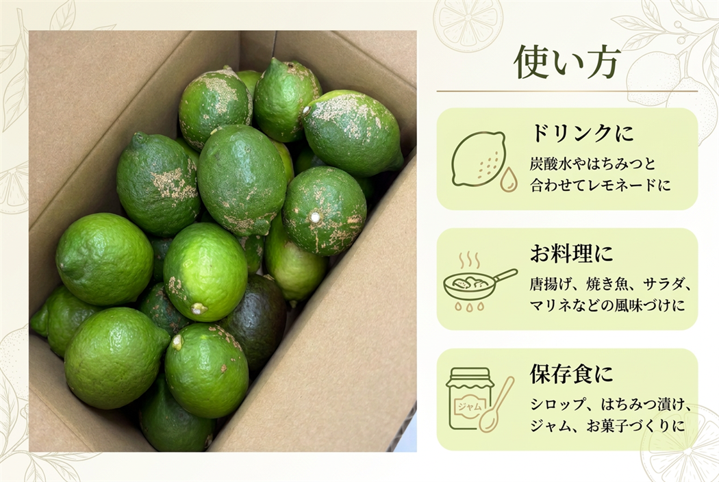 訳あり】宮崎県産レモン 10㎏: JAみやざき Tege Mahalo|【JAタウン