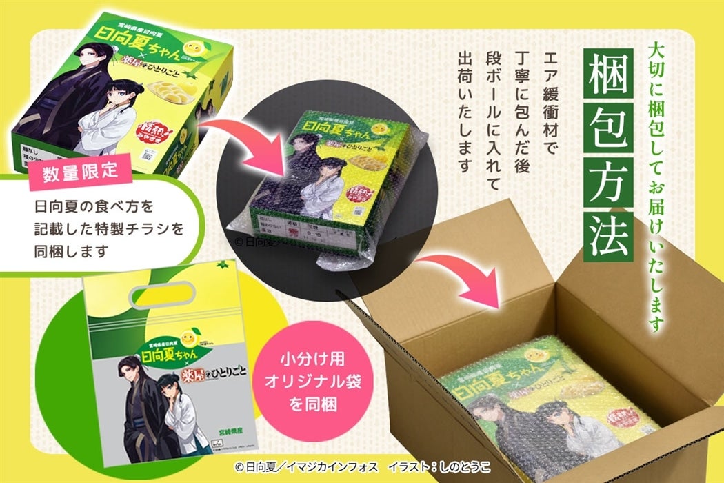 yN[ցz{茧Y  u򉮂̂ЂƂ育ƁvR{pbP[W 2.5kg×2i폭Ȃ߃^Cvj