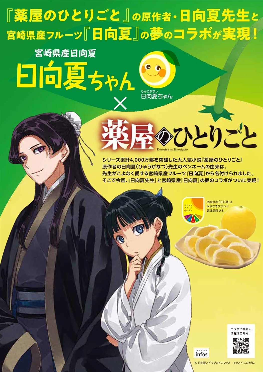 yN[ցz{茧Y  u򉮂̂ЂƂ育ƁvR{pbP[W 2.5kg×2i폭Ȃ߃^Cvj