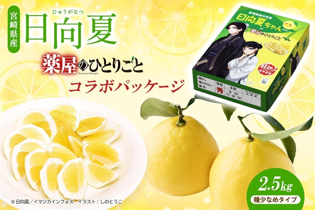 {茧Y āu򉮂̂ЂƂ育ƁvR{pbP[W 2.5kgi폭Ȃ߃^Cvj