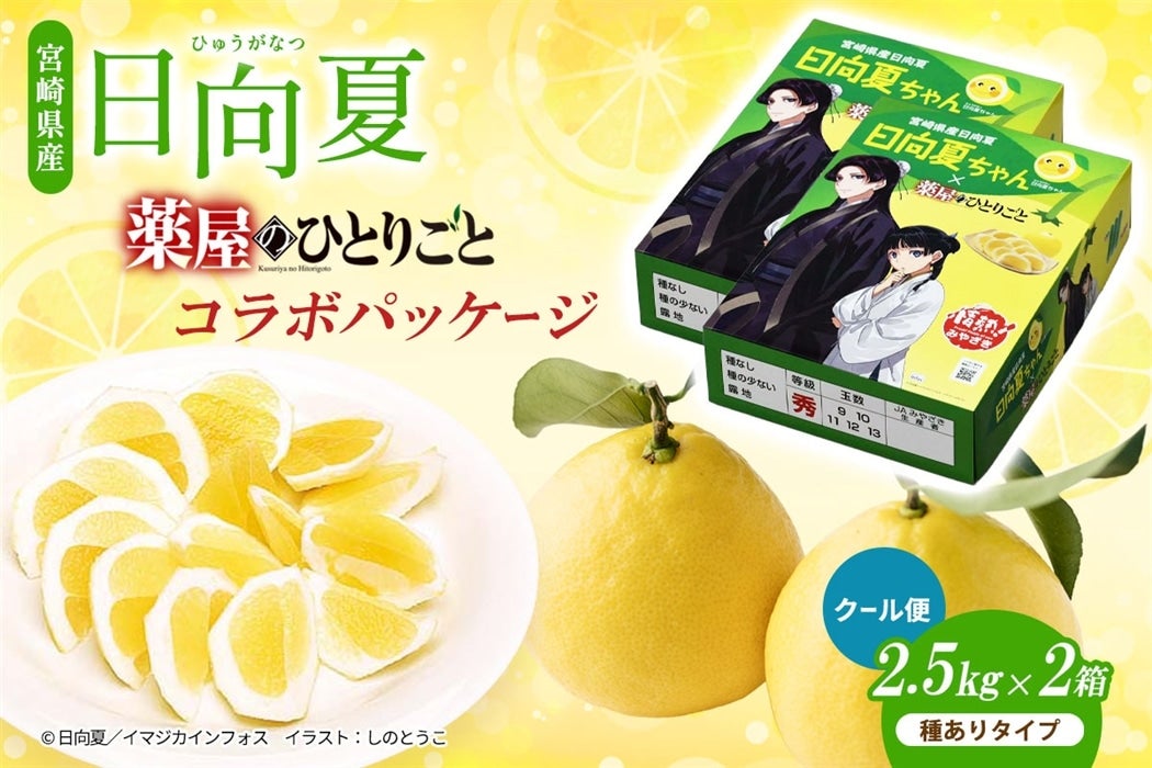 �y�N�[���ցz�{�茧�Y ������ �����u�򉮂̂ЂƂ育�Ɓv�R���{�p�b�P�[�W 2.5kg�i�킠��^�C�v�j