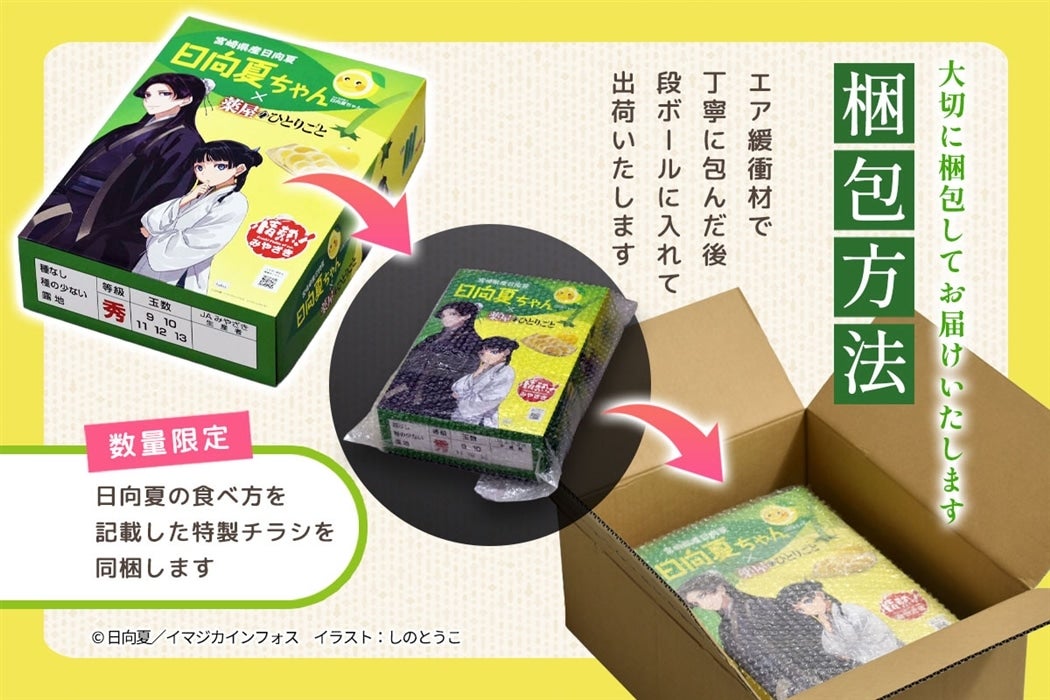 yN[ցz{茧Y  u򉮂̂ЂƂ育ƁvR{pbP[W 2.5kgi폭Ȃ߃^Cvj