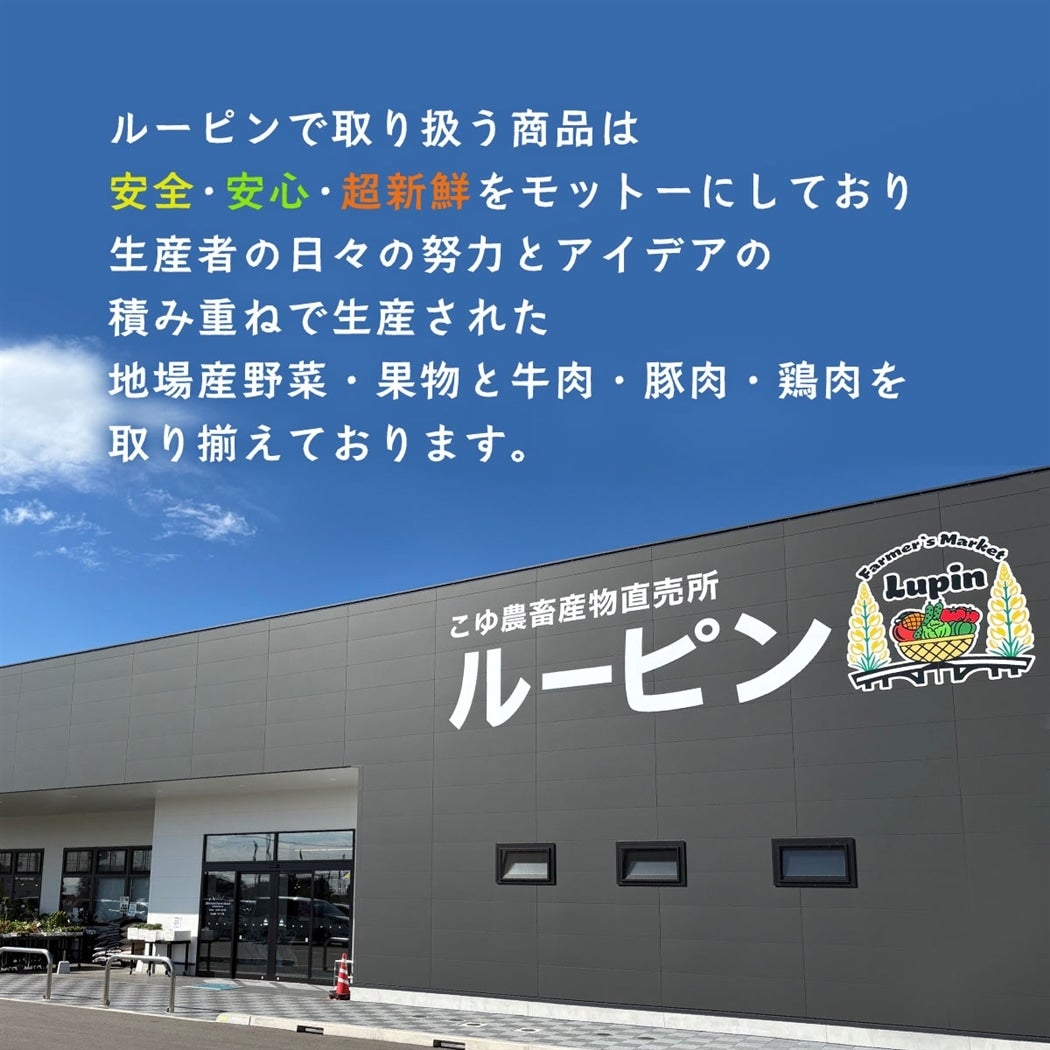 ����_�{�Y�����������[�s��