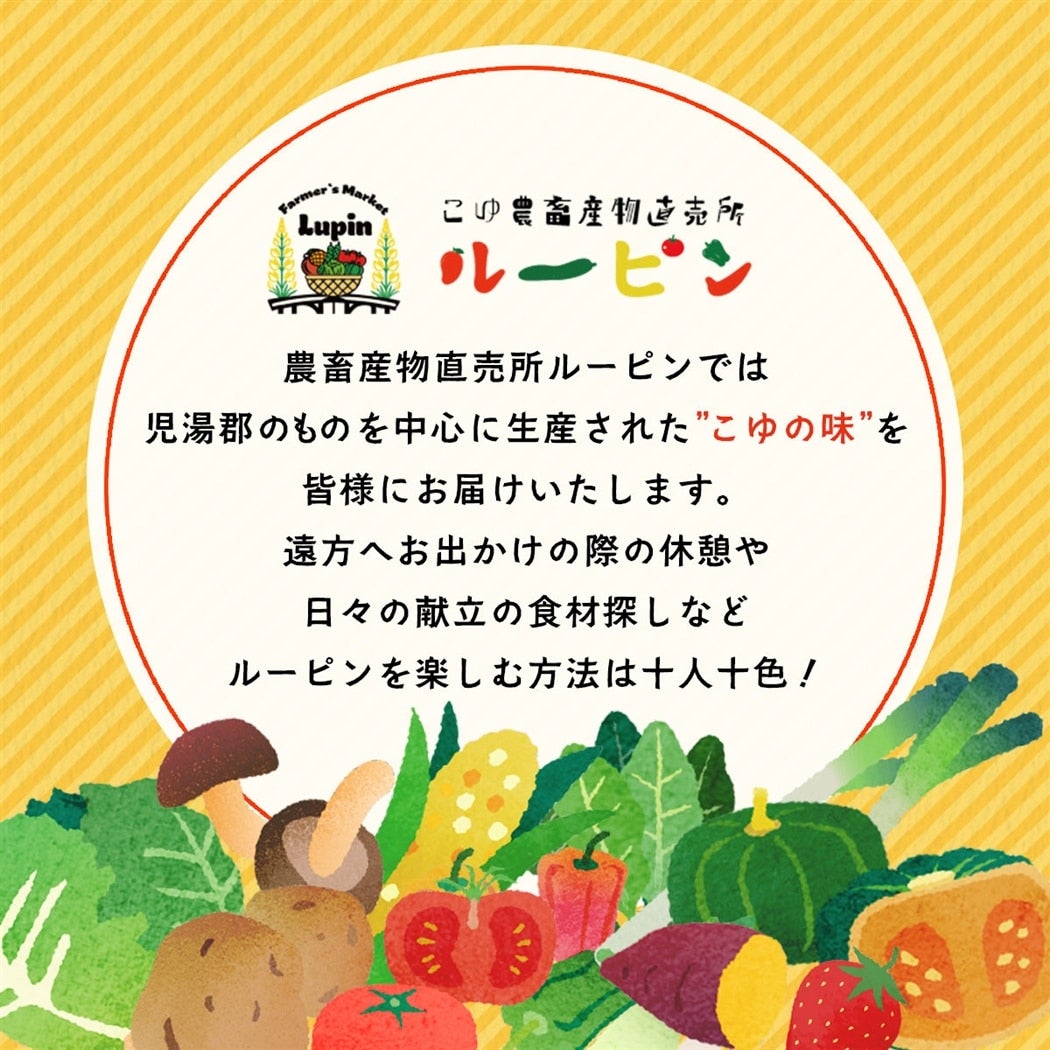 ����_�{�Y�������� ���[�s��