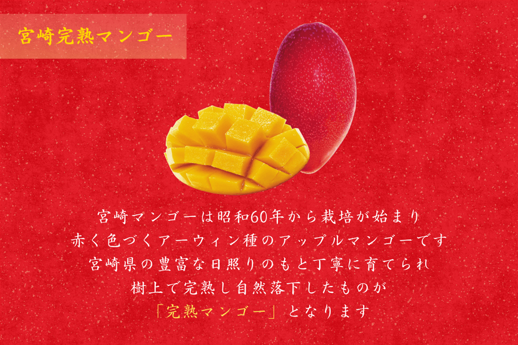 化粧箱入り】宮崎完熟マンゴードリンク 300ml×1本: JAみやざき Tege