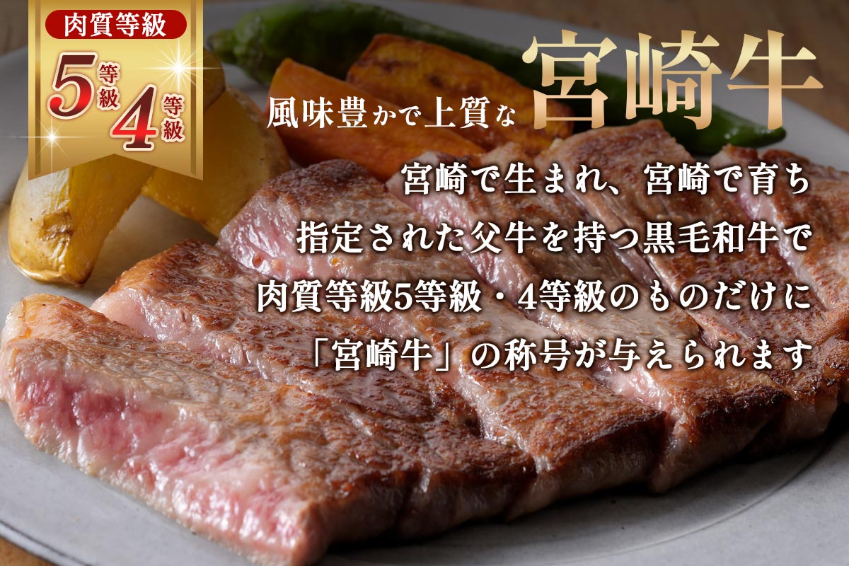 {苍 ԐgE~Xe[LHה