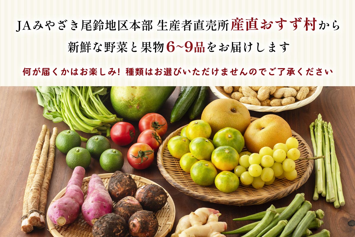 おすず村 厳選詰め合わせセット