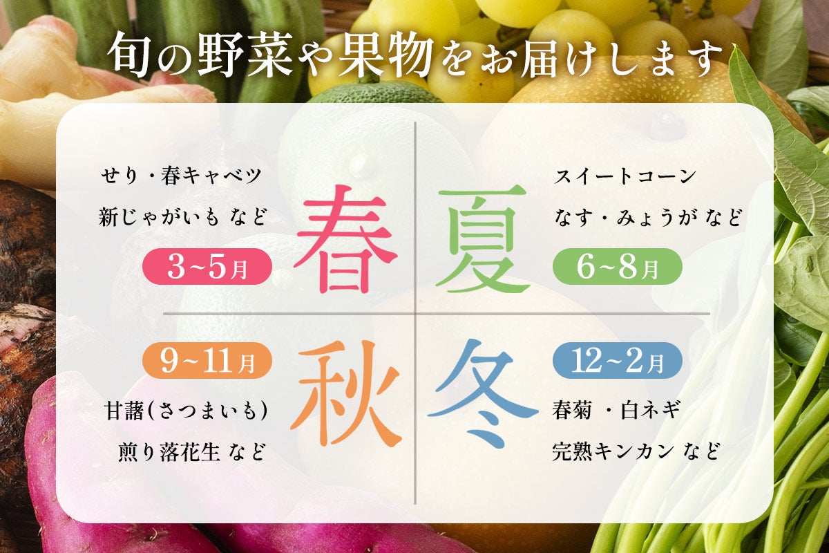 おすず村 厳選詰め合わせセット