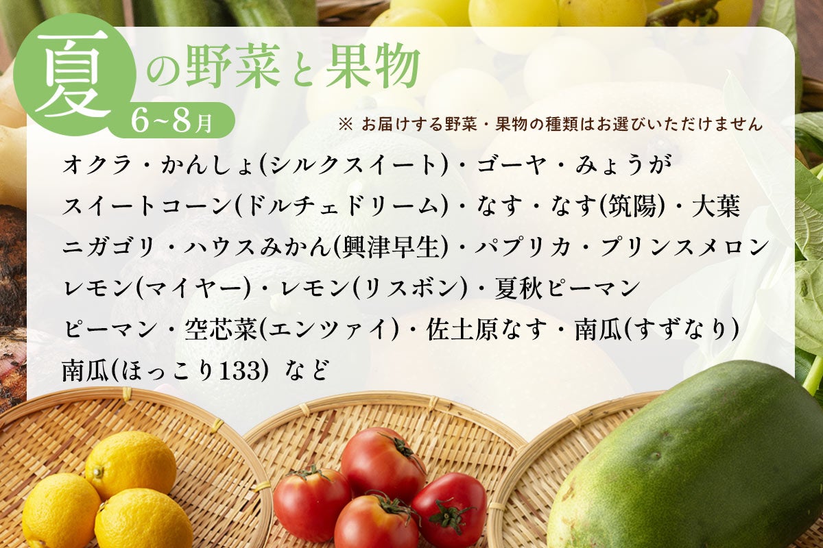 おすず村 厳選詰め合わせセット