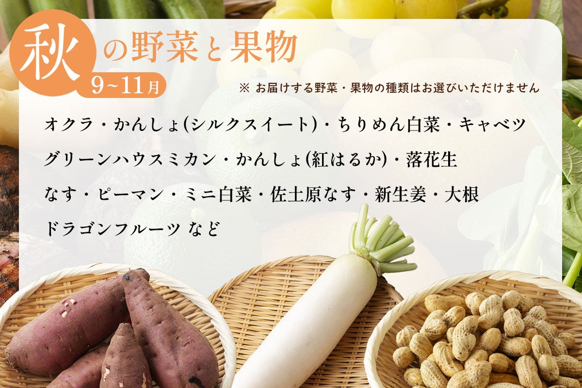 おすず村 厳選詰め合わせセット