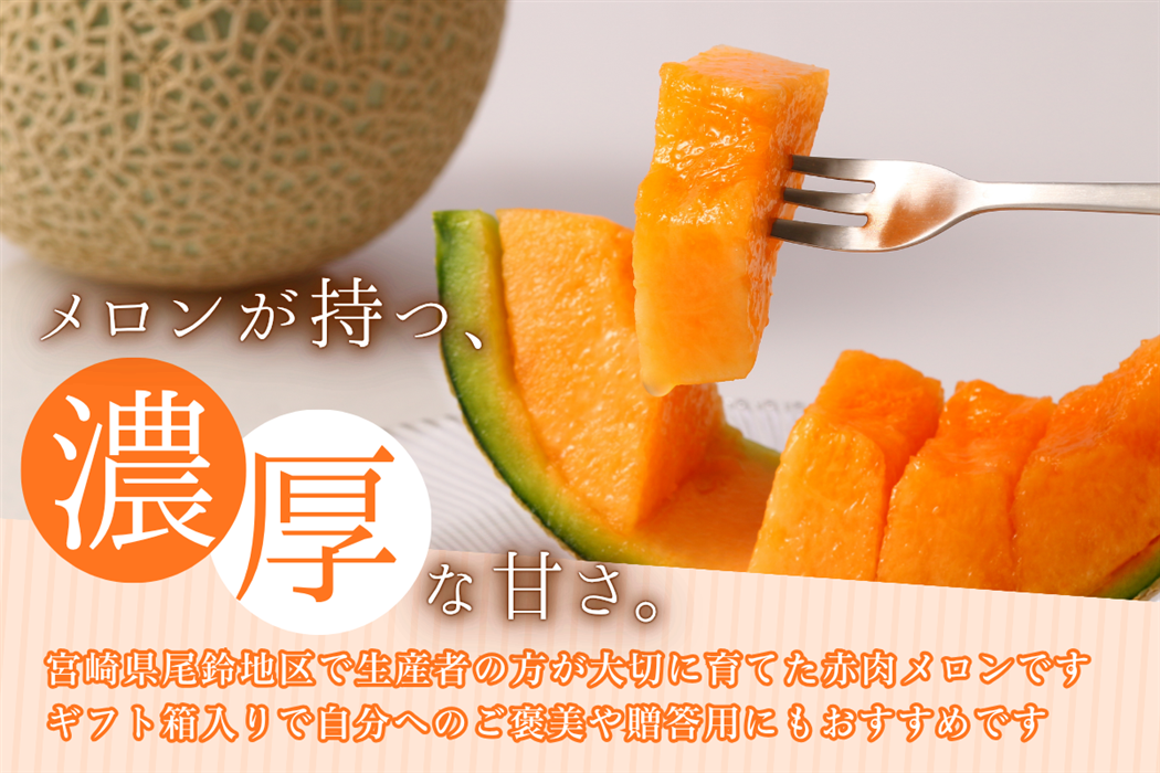 赤肉メロン(2玉入): JAみやざき Tege Mahalo|【JAタウン】産地直送
