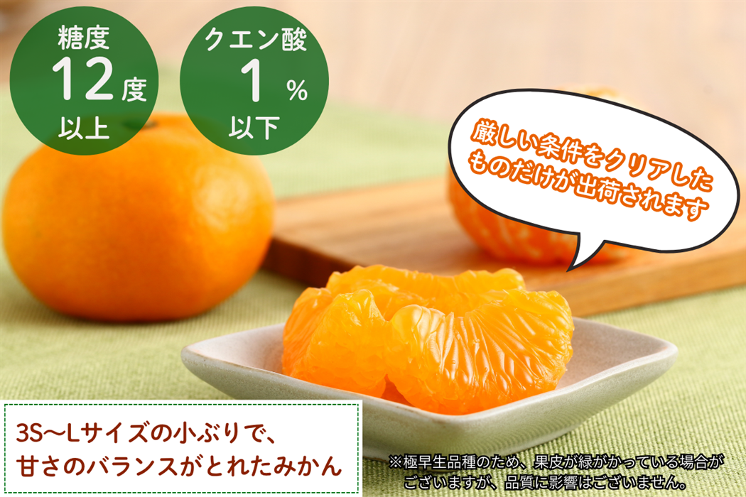 秋のJAタウンまつり】宮崎県西都産 南国の陽蜜【陽宝】 5㎏: JA