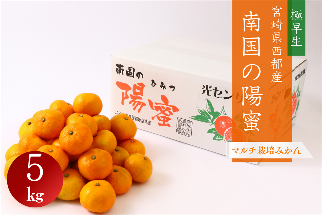 宮崎県西都市産 南国の陽蜜 5㎏: JAみやざき Tege Mahalo|【JAタウン