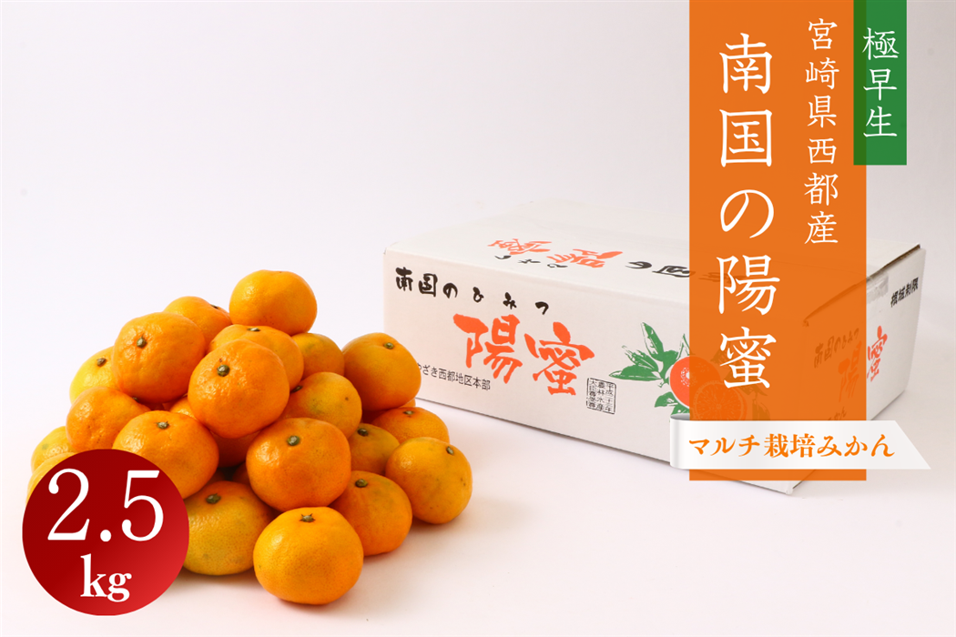 宮崎県西都産 南国の陽蜜 2.5kg箱: JAみやざき Tege Mahalo|【JA 宮崎県西都産 南国の陽蜜 2.5kg箱: JAみやざき Tege Mahalo|【JA