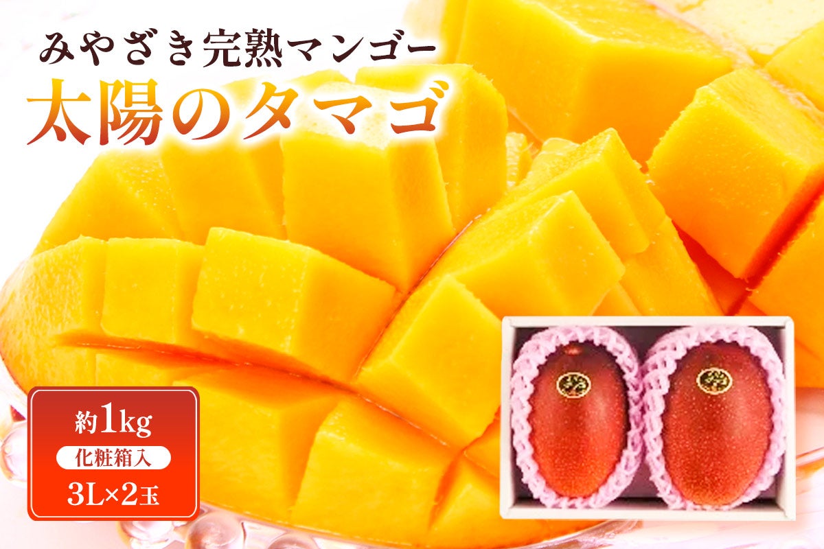 みやざき完熟マンゴー 太陽のタマゴ 3L×2玉 化粧箱入