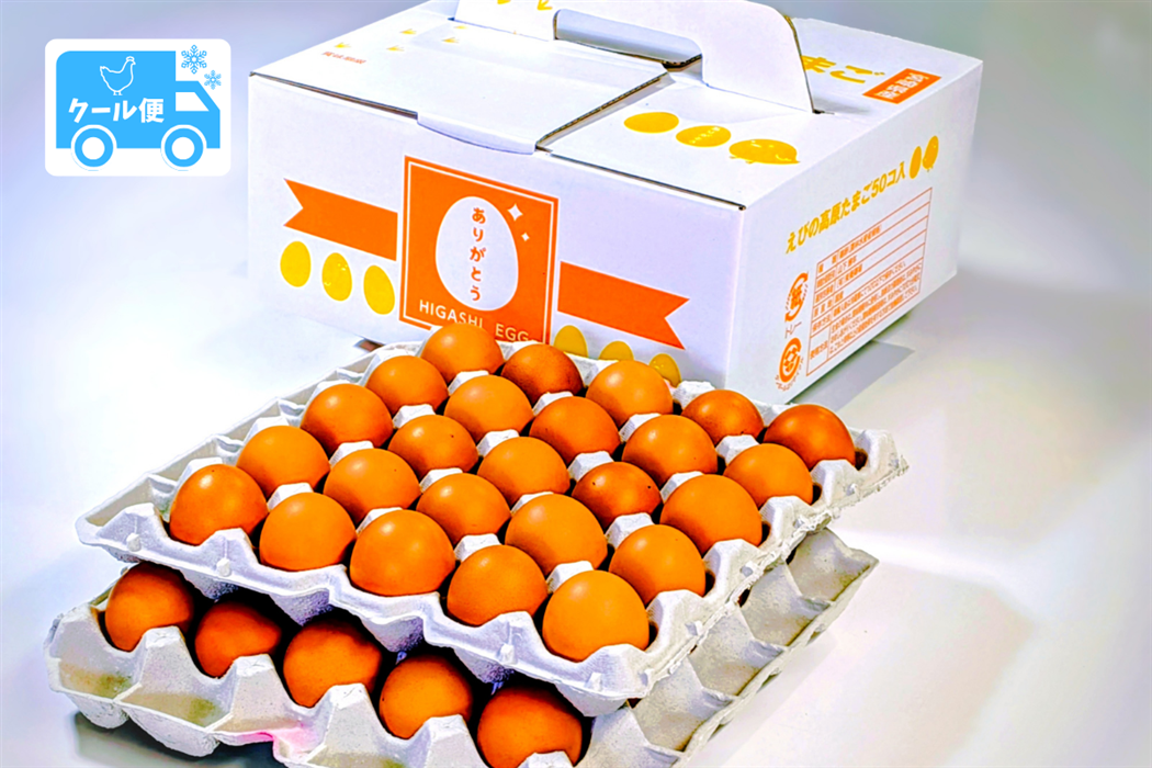 クール便】東養鶏場 贈答用50個: JAみやざき Tege Mahalo|【JAタウン