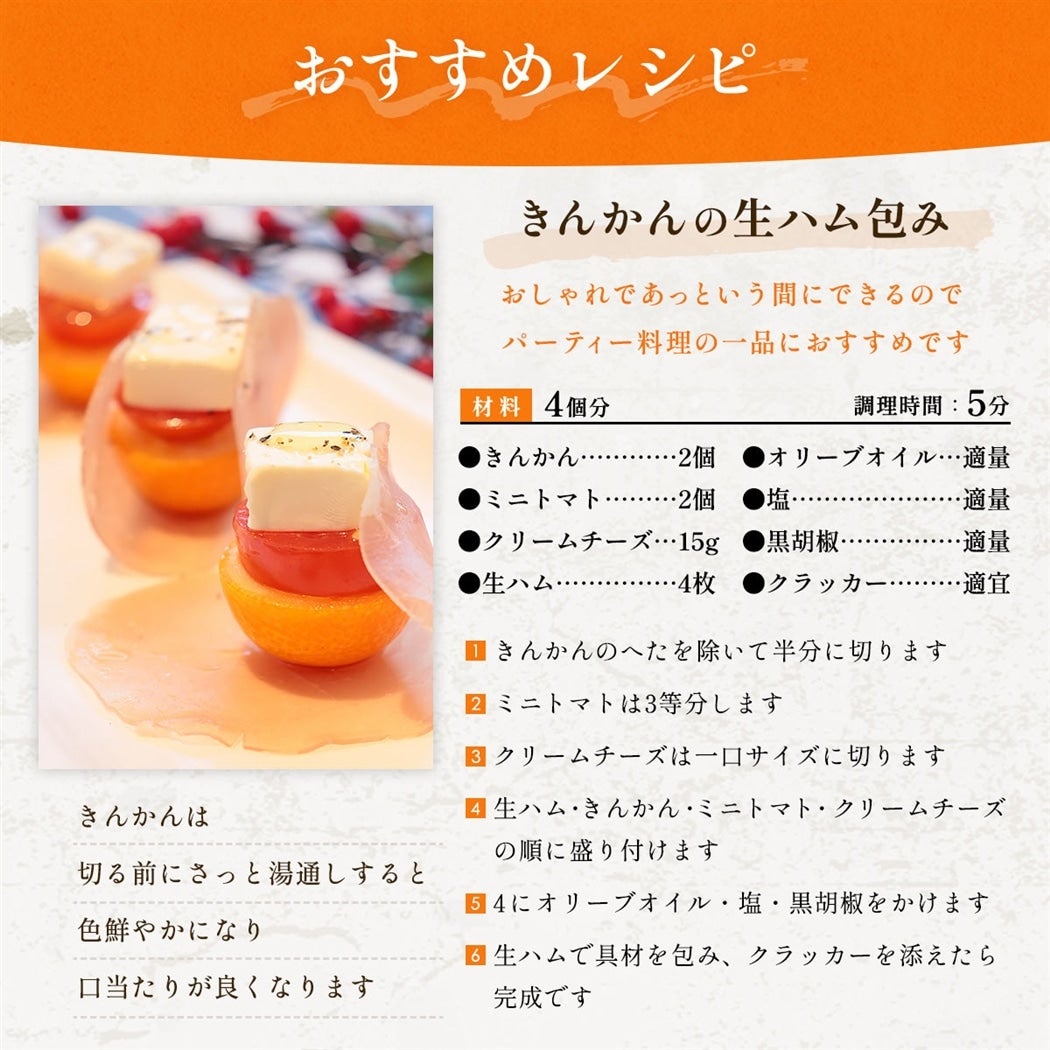 �������g�����������߃��V�s