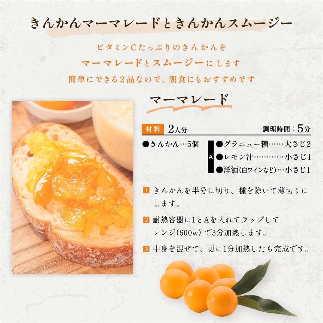 �������g�����������߃��V�s