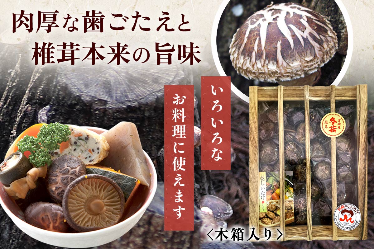 椎茸ギフト どんこ椎茸 230g