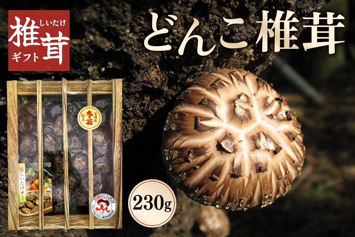 椎茸ギフト どんこ椎茸 230g