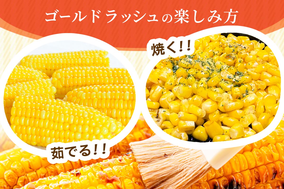 スイートコーン - ゴールドラッシュ -