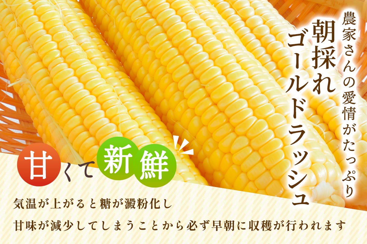 スイートコーン - ゴールドラッシュ -