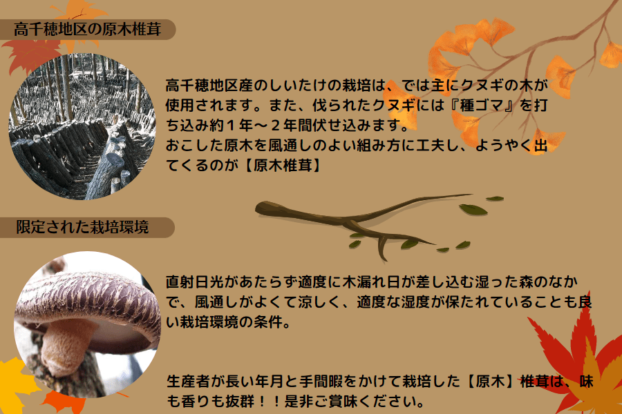 乾燥椎茸 徳用 400g