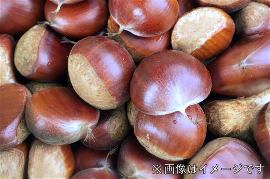 高千穂ひのかげ栗 ２L（3ｋｇ）: JA高千穂|【ＪＡタウン】産地直送 通販 お取り寄せ