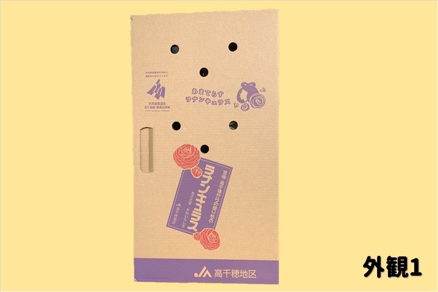 ラナンキュラス 3色ミックス