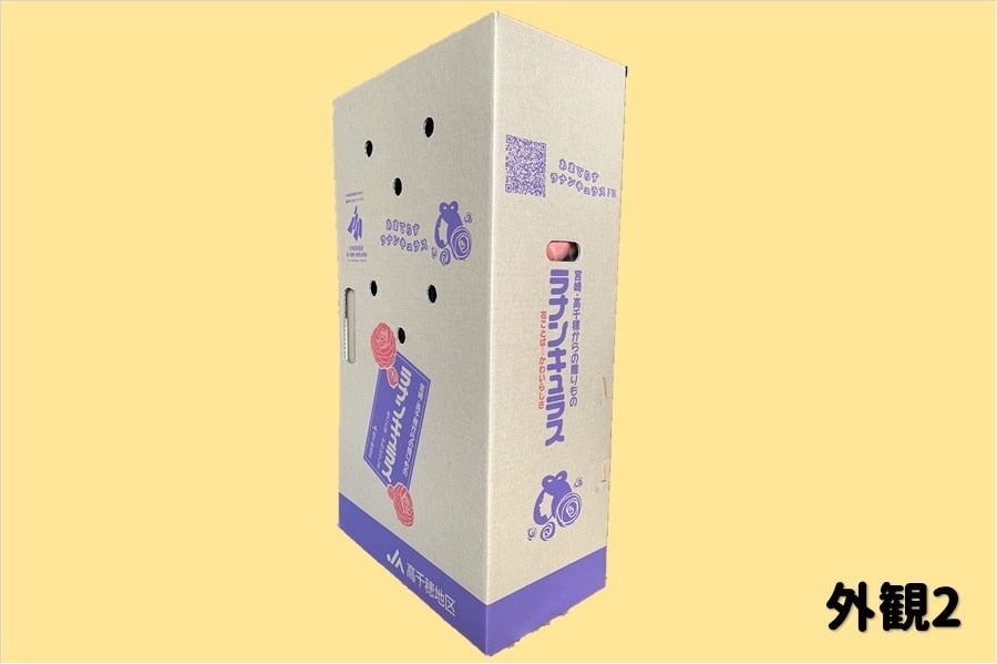 ラナンキュラス 3色ミックス: JAみやざき高千穂直販|【JA