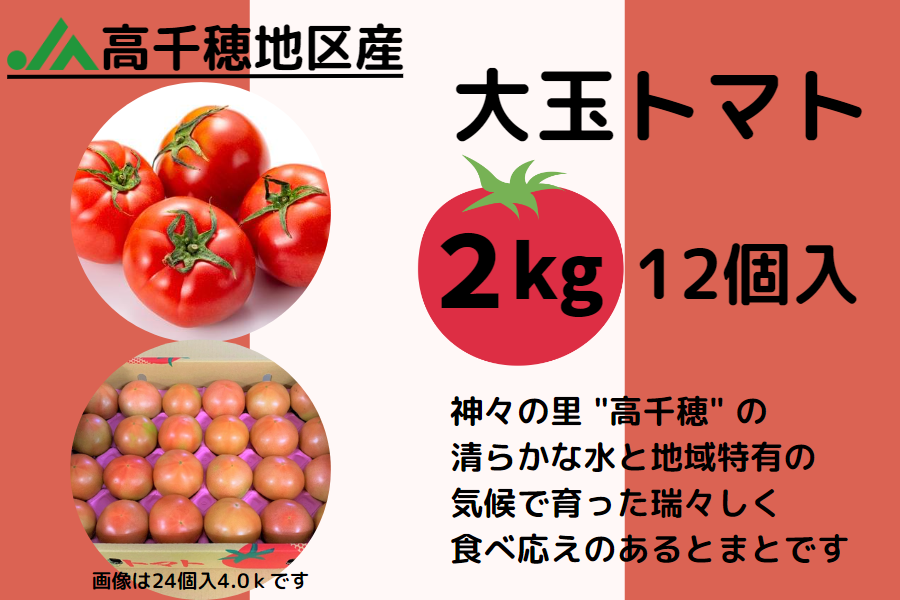 九州産 トマト - やおや植木商店オンラインショップ