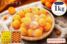 񂩂񂽂܂܁@ϔ1kgi1ɂ͂j